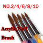 Nail Art Acrylic Pen NO.2/4/6/8/10 liquid powder tool carving brush pen