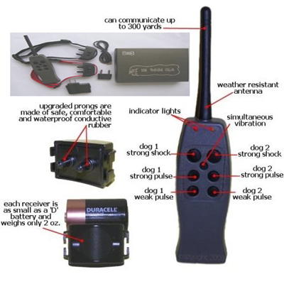 Rechargeable Small Medium Big Dog Remote Training Collar for 2 Dogs