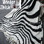 BIG Zebra Print Scarf Shawl Black/white Extra-Thick New