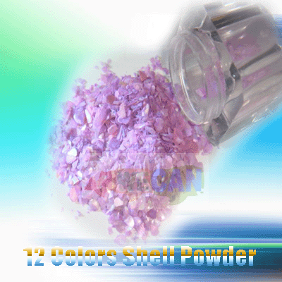 12 Box Flash Crushed Shell Powder Nail Art Tips UV