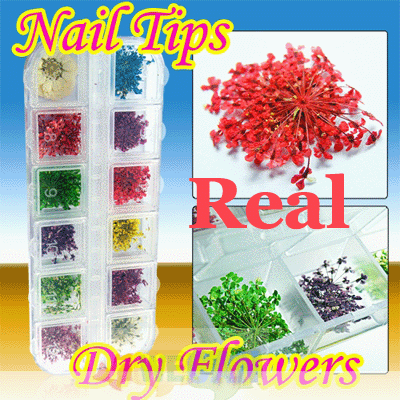 12 Colors Real Dry Flower 3D UV Acrylic Nail Decoration