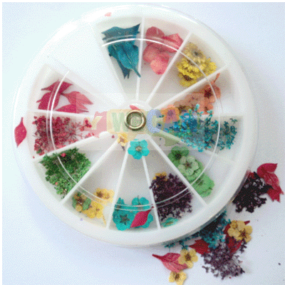 12 DRIED FLOWER PETAL WHEEL NAIL ART TIPS DESIGN