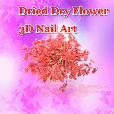 3D UV 12 Pcs Acrylic Nail Decoration Real Dry Flower