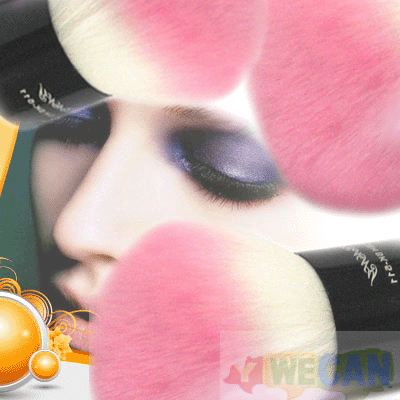Brush Studio Salon Makeup Face Powder Lovely Pink Party