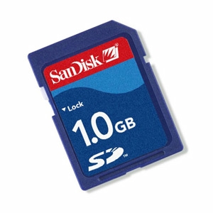 SanDisk Standard 1GB SD cards